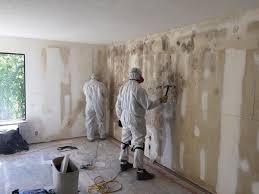 Asbestos and Lead Testing During Mold Inspection in Hope, IN